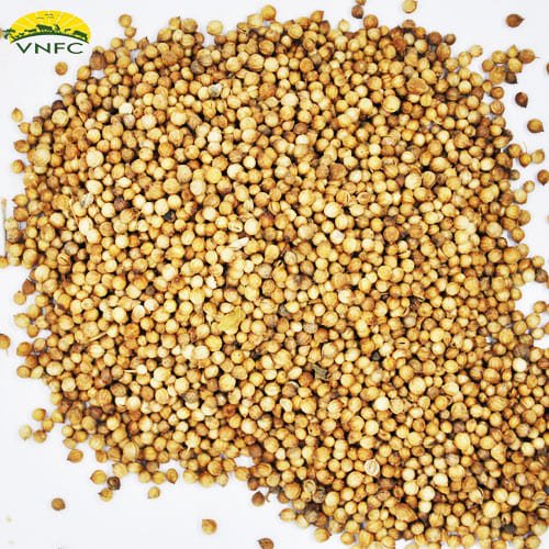 Malli-copy (2) malli