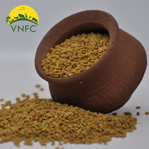 Vendhayam-vnfc fenugreek